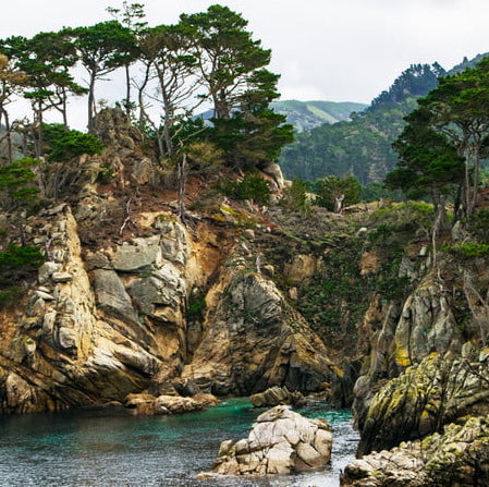 carmel-california-photo-by-matt-payne-2-800x800