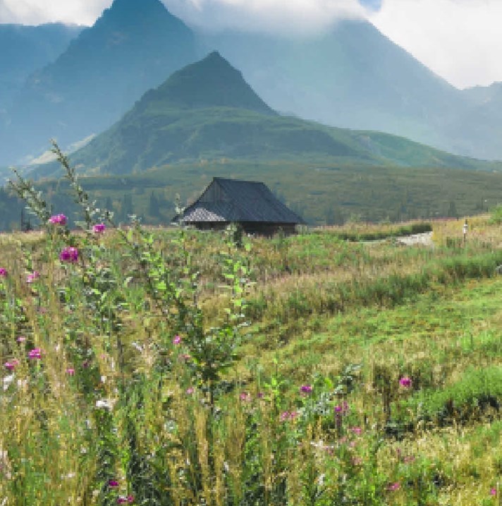 Tatras